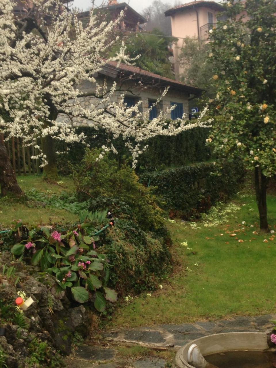Villa Maria Lago Maggiore Reno Di Leggiuno Zewnętrze zdjęcie