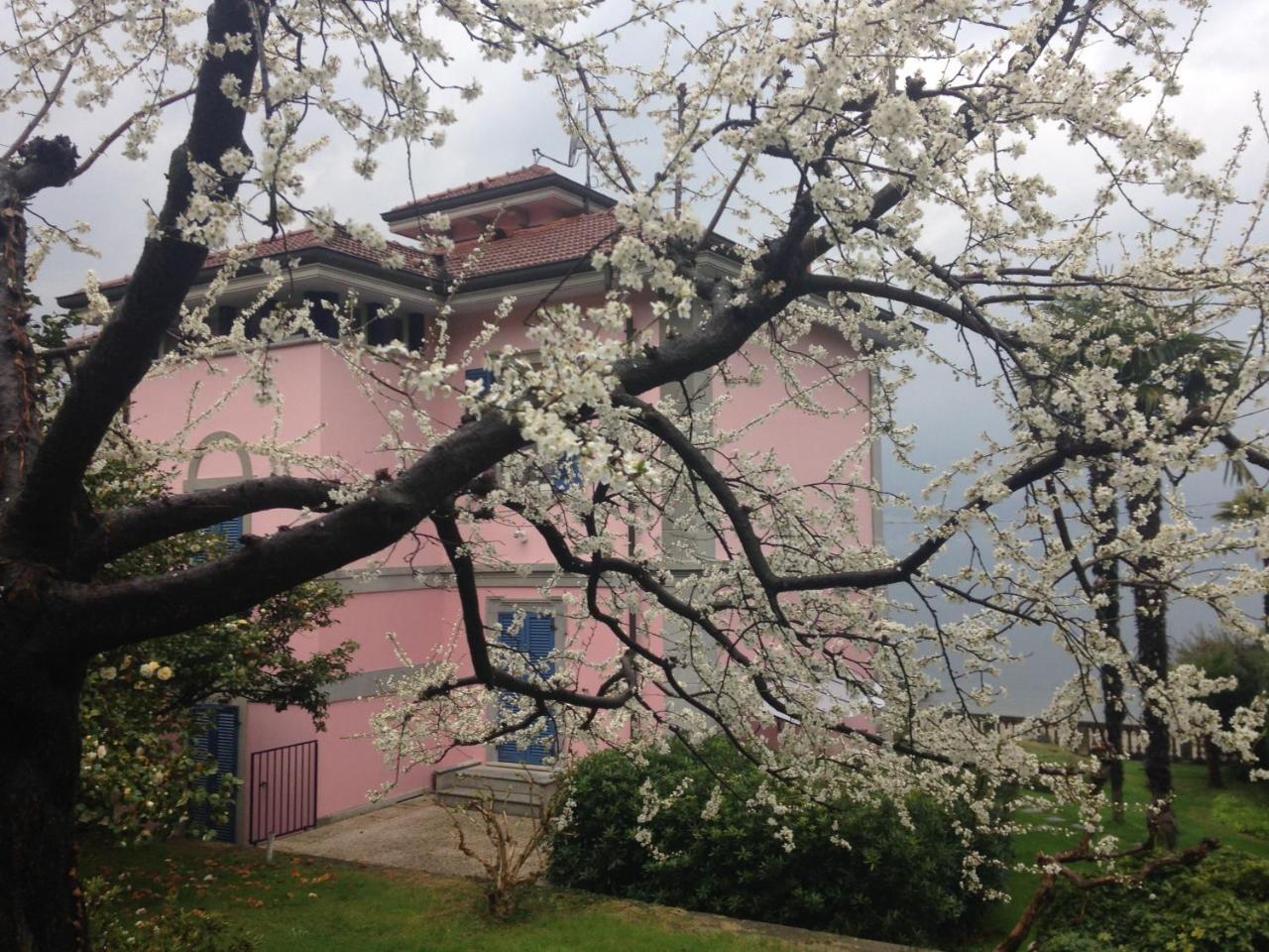 Villa Maria Lago Maggiore Reno Di Leggiuno Zewnętrze zdjęcie